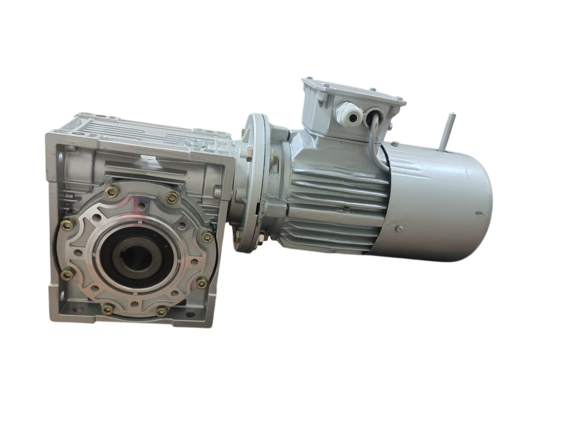 WORM GEARED BRAKE MOTOR