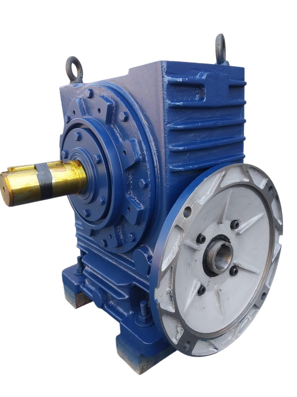 WhatsApp Image 2026-02-20 at 3.44.35 PM